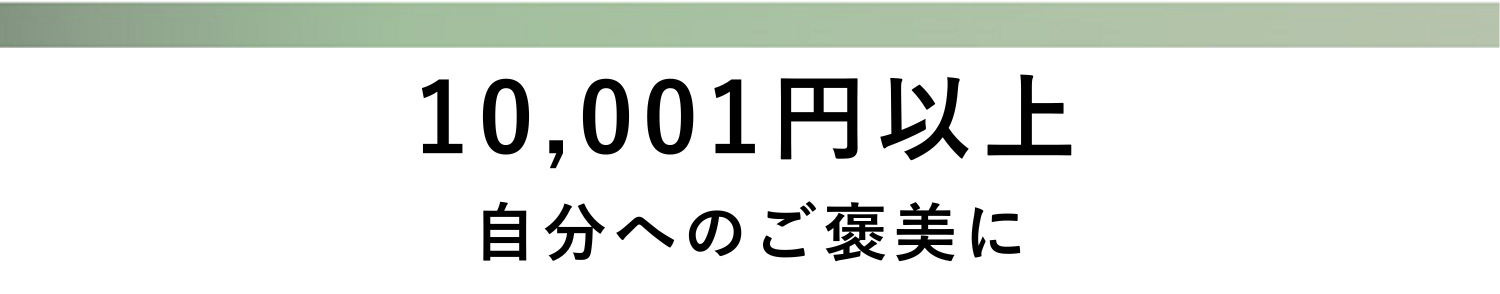 10,000円以上 自分へのご褒美に​