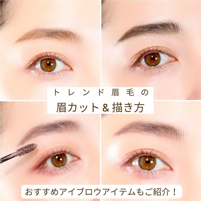 【初心者でもできる】トレンド眉毛のお手入れ方法【アイブロウ比較】