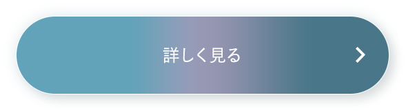 詳しく見る