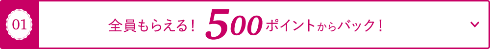 01 全員もらえる！500ポイントからバック！