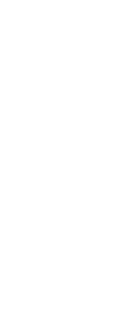 美しいもん勝ちや